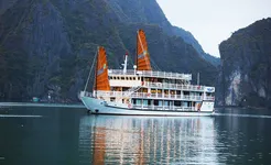 Unicharm Cruise - Overview
