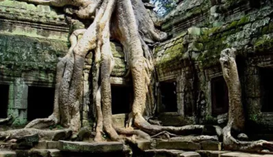 Beeindruckende Reise in Angkor