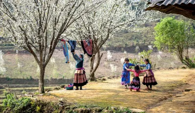 What to Do in Bac Ha Vietnam ?