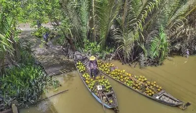 Ben Tre - The Peaceful Coconut Land in Mekong Delta