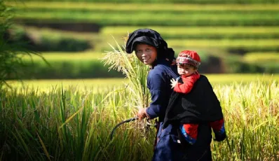 The Charm of Hoang Su Phi's People and Terraced Field