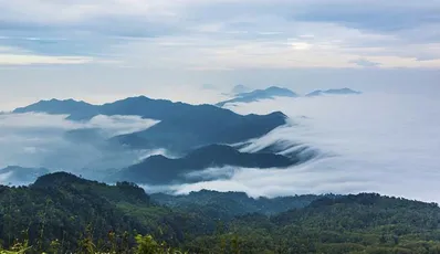Chieu Lau Thi - The beautiful pristine forest in the Northeast