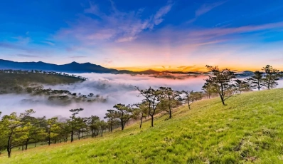 Is There The Best Time to Visit Da Lat?