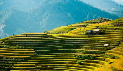 Quando viaggiare in Vietnam? La stagione migliore per il Vietnam? Come scegliere il posto giusto e il momento giusto in Vietnam?