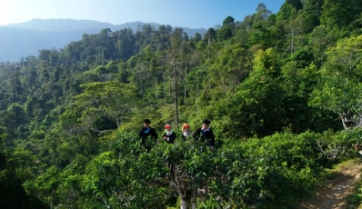 Lung Vai Village, Ha Giang: Discover an Ancient Shan Tuyet Tea Village Hidden in the Mountains