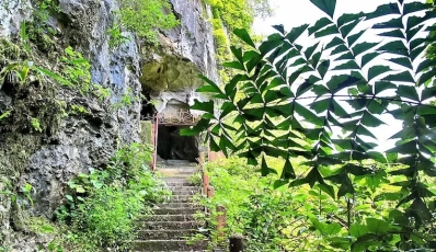 Top 4 Charming Caves in Cat Ba Island