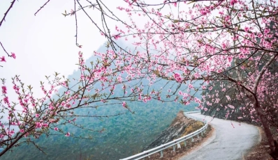 Boucle de Ha Giang en janvier: tout ce qu’il faut savoir