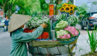 Automne à Hanoï : une saison poétique au Vietnam