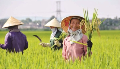 What Travelers Love Most About Vietnamese People