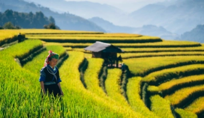 Cose vedere a Mu Cang Chai