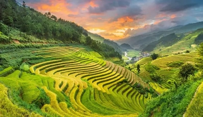 Muong Than Rice Field - A Peaceful Safe Haven In Lai Chau