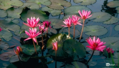 Ninh Binh in December: A Perfect Winter Getaway