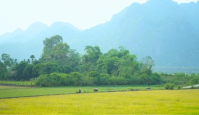 Ninh Binh in November - the Golden Time to Go for Vacations