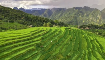 Rizières en terrasses de Pu Luong - Beauté naturelle majestueuse au Vietnam