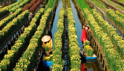 Village de fleurs de Sa Dec - Le royaume des fleurs dans le sud du Vietnam