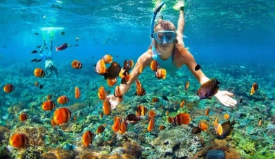 Is Snorkeling in Phu Quoc Worth It? An Honest Guide Before You Book (2026)