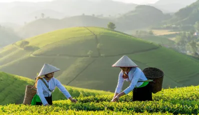 A Travel Guide to Visit Vietnam in April