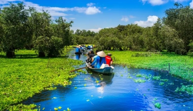 Foresta pluviale di melaleuca Tra Su - un luogo imperdibile nel Delta di Mekong