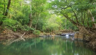 Les 10 plus beaux parcs nationaux du Vietnam