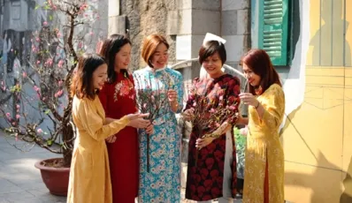 Abito tradizionale del Vietnam: storia e utilizzo nella società moderna