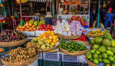 Tropical Fruits in Vietnam: A Guide to Fantastic Exotic Flavours