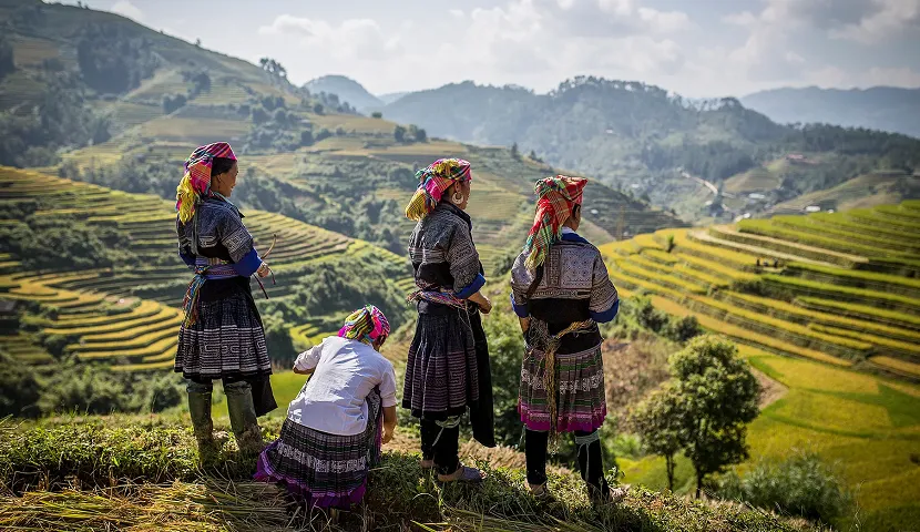 The Distinct Cultural Beauty of Ethnic Groups in Mu Cang Chai