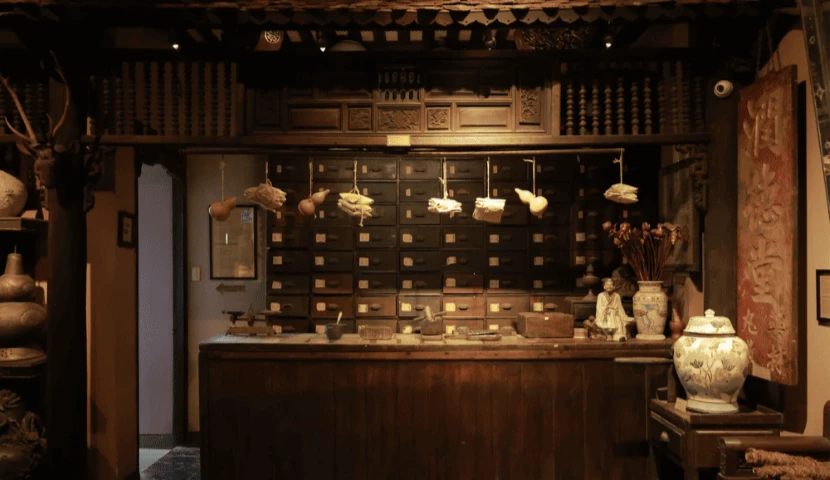 Inside FITO Museum - Vietnam's First Traditional Medicine Museum