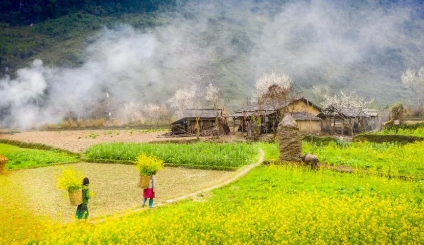 Ha Giang Loop in December: An Unforgettable Winter Journey