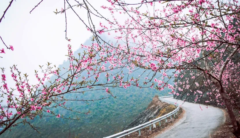 Guida per Conquistare il Circuito di Ha Giang a Gennaio