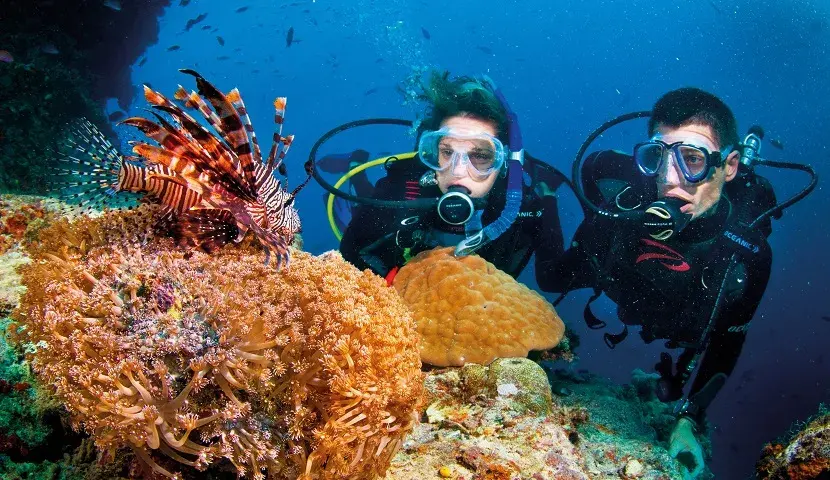 Hoi An Snorkeling and Scuba Diving - Explore the Underwater World