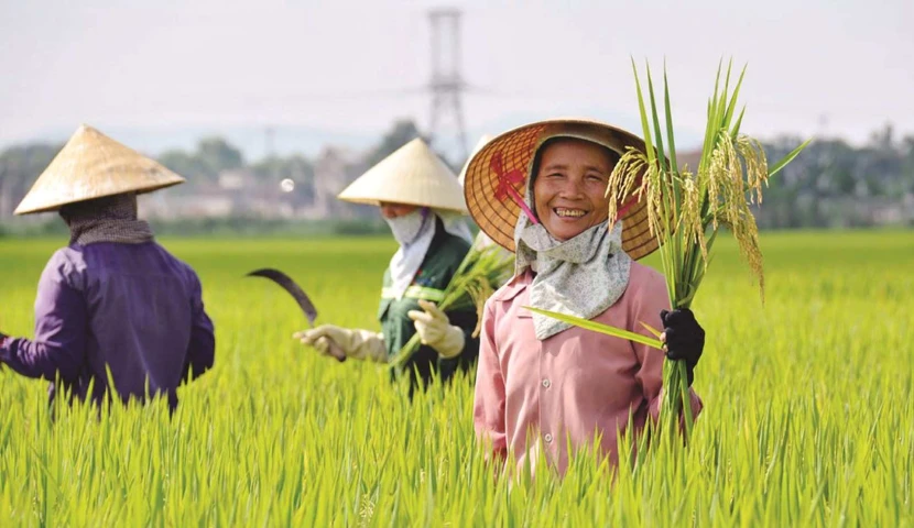 What Travelers Love Most About Vietnamese People