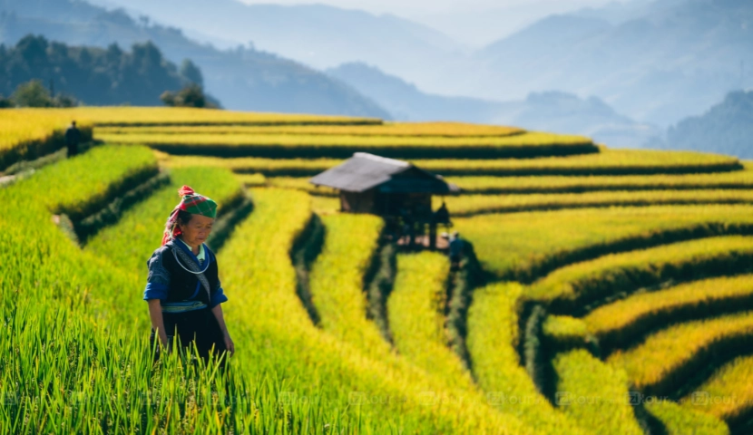 Top 10 Attractions in Mu Cang Chai Vietnam