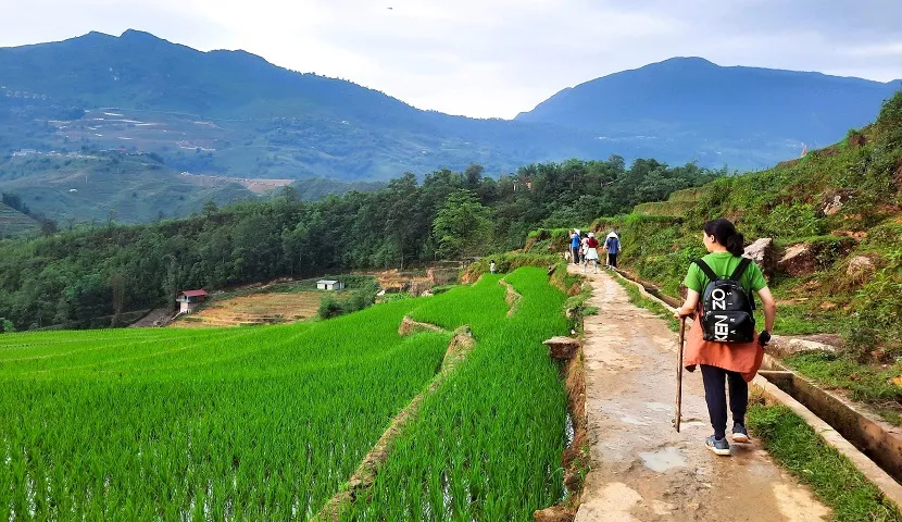 Muong Hoa Valley : Unveiling the Serenity of  a Sapa's Hidden Gem