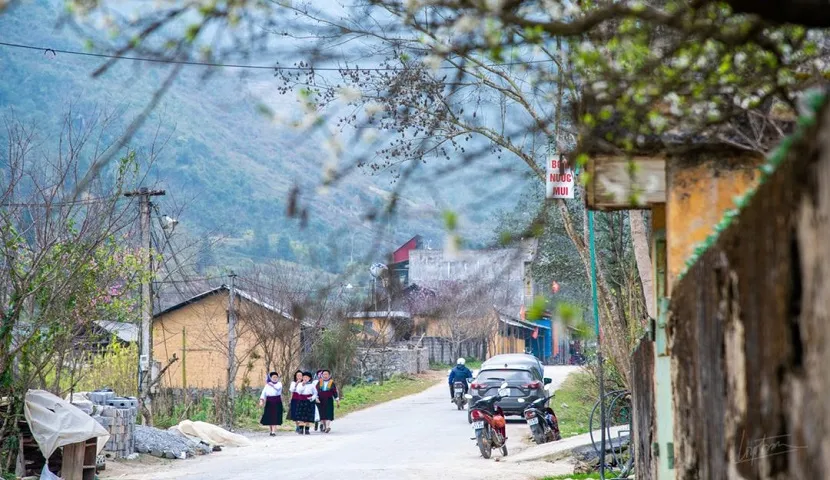 Village Pho Bang à Ha Giang : village ancien dans les montagnes et les forêts du nord-est