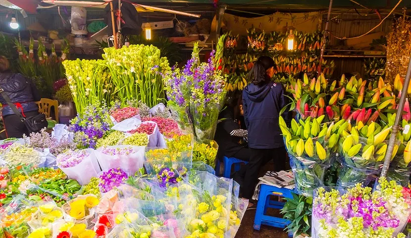 Visitare il mercato dei fiori di Quang Ba a guardare Hanoi in modo diverso di notte