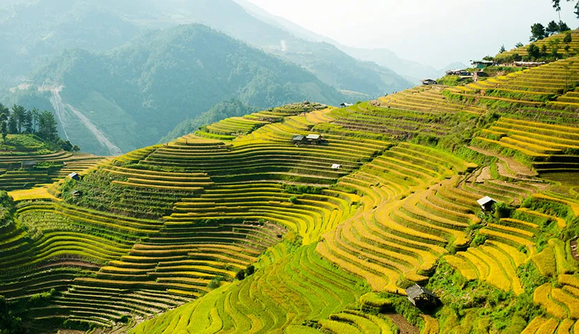 Rizières en terrasses fascinantes dans le nord-ouest du Vietnam