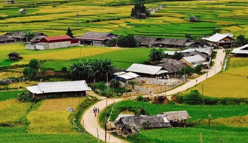 Tu Le Valley Vietnam - The Poetic Beauty Awaits You to Discover