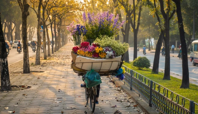Vietnam Autumn Travel Guide: Best Places to Visit, Weather and Travel Tips