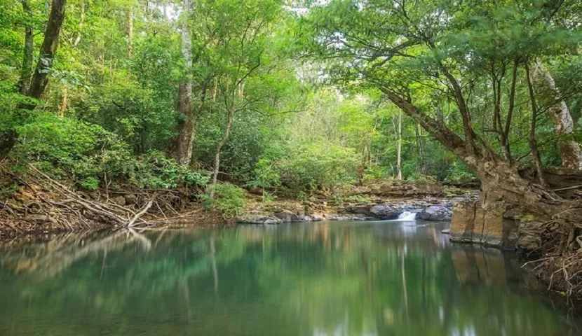 I 10 Parchi Nazionali più belli del Vietnam