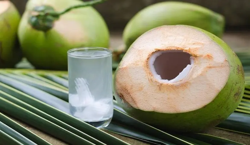 Vietnamese Beverages - Top Local Favorite Drinks To Try