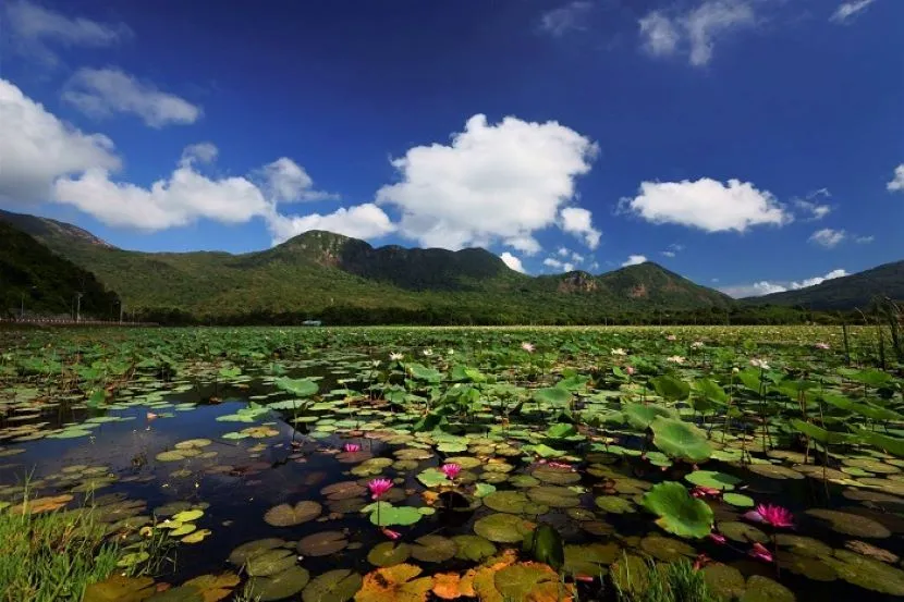 an hai lake con dao national park