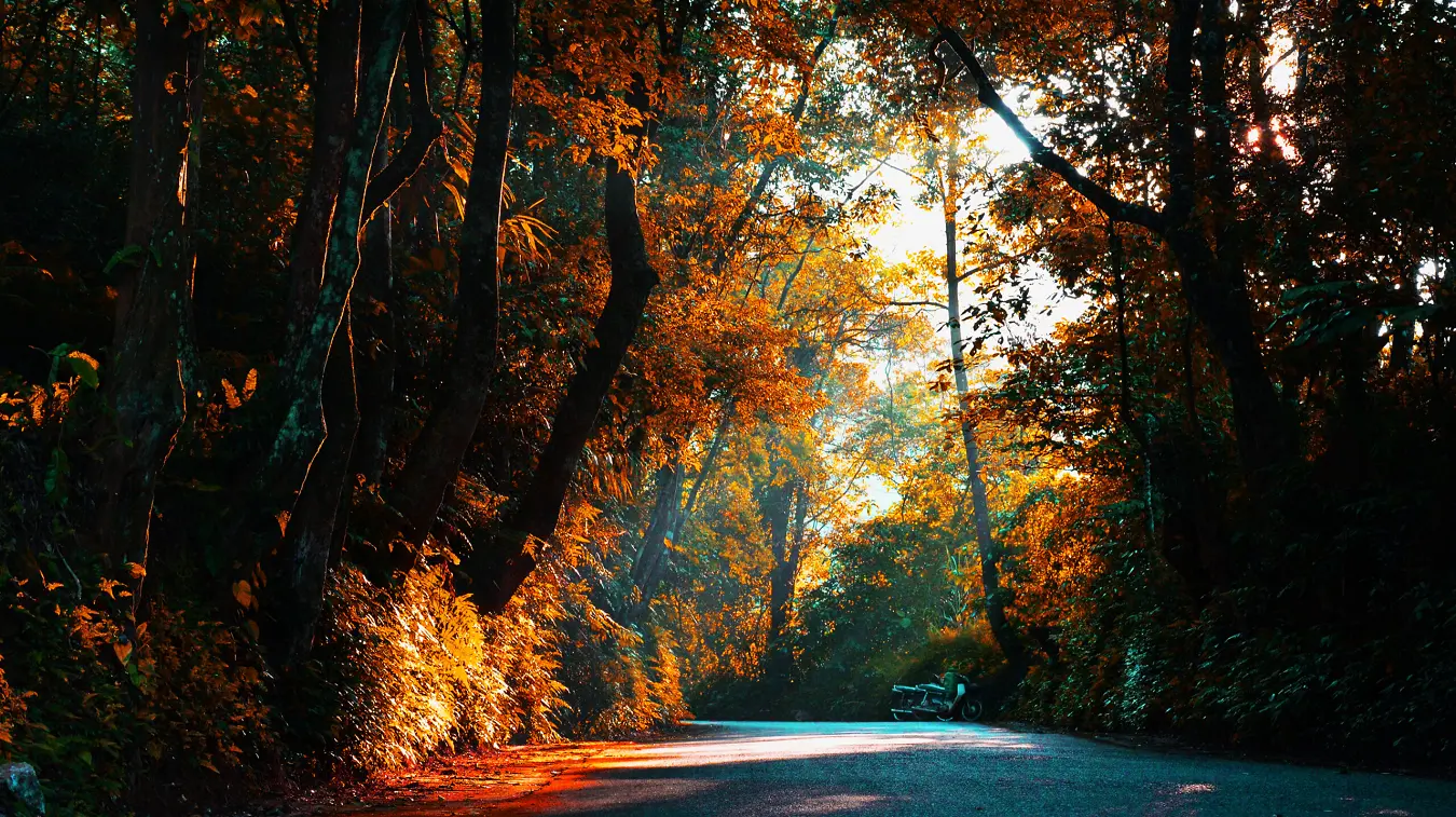 Beauté du parc national de Ba Vi