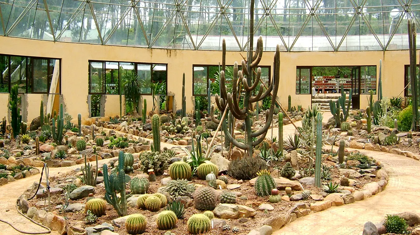 Ba Vi National Park cactus greenhouse