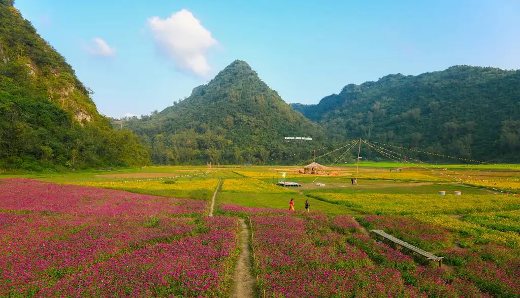 bac son vietnam flower valley
