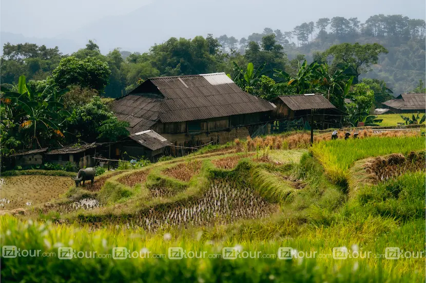 ban phung ha giang riziere vietnam