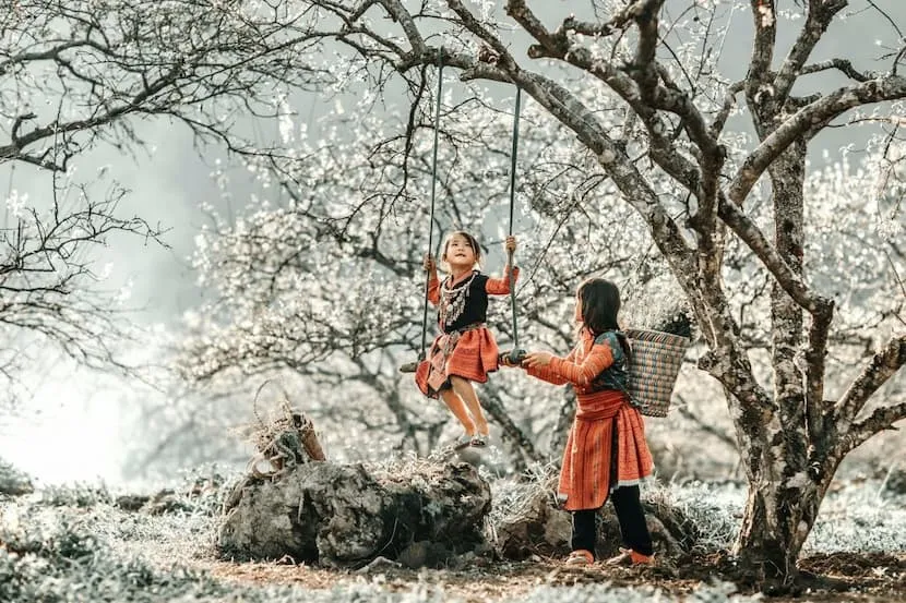 beaute de la montagne du nord vietnam en janvier