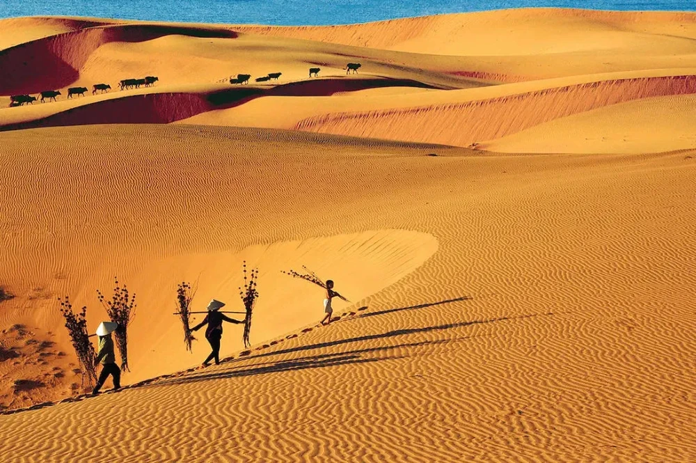 Mui Ne charme les voyageurs avec ses dunes de sable rouge et blanc