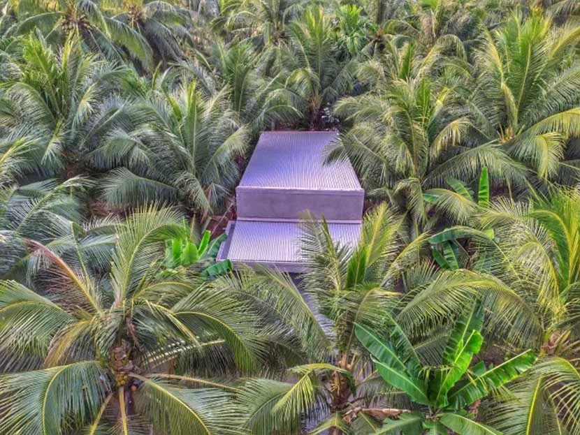 ben tre coconut homeland in mekong delta