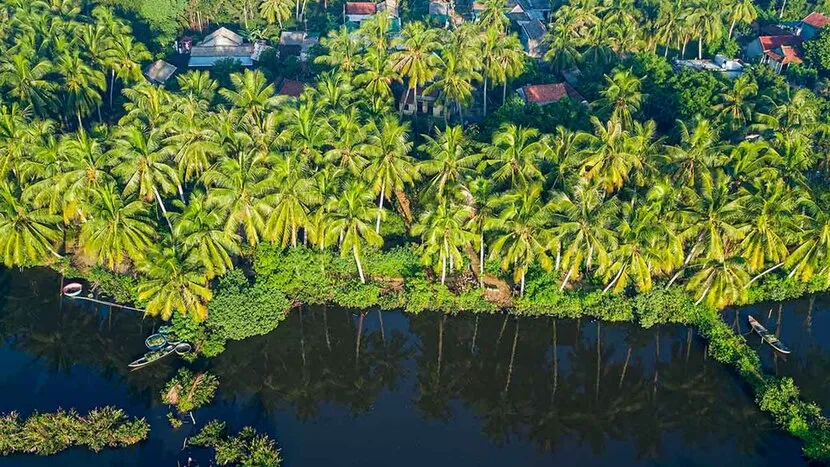 que faire au sud du vietnam