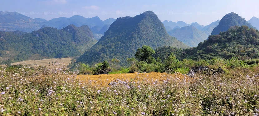 cao bang best time to visit